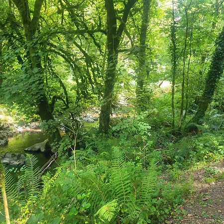 Apartment Knocknafallia Cappoquin